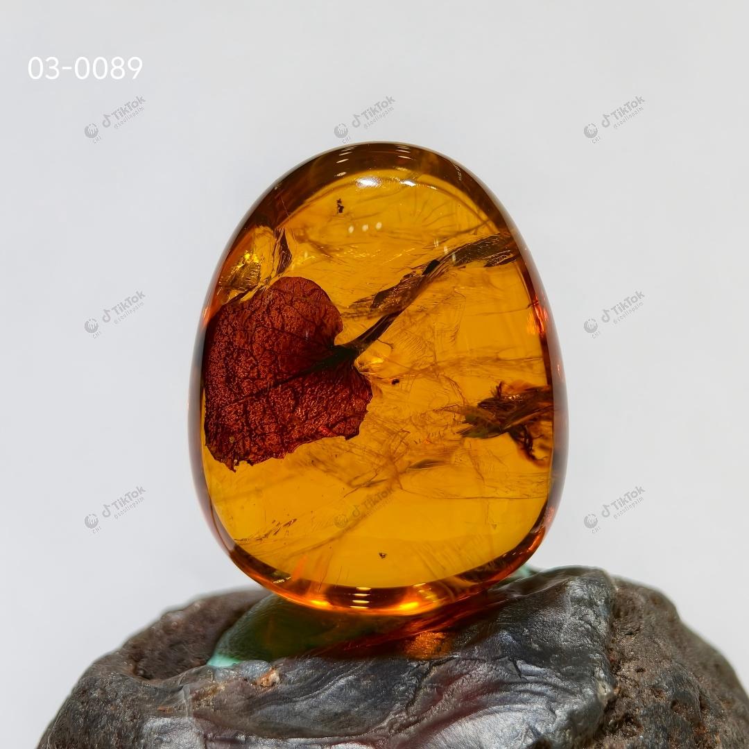 Dominican Heart-Shaped Fossil Leaf Amber with Multi-Insect Inclusions | Botanical & Insect Coexistence Specimen | High-Transparency Golden Amber Teardrop Freeform (26.7×21.5×14.8mm / 4.784g / Collection No. 03-0089)