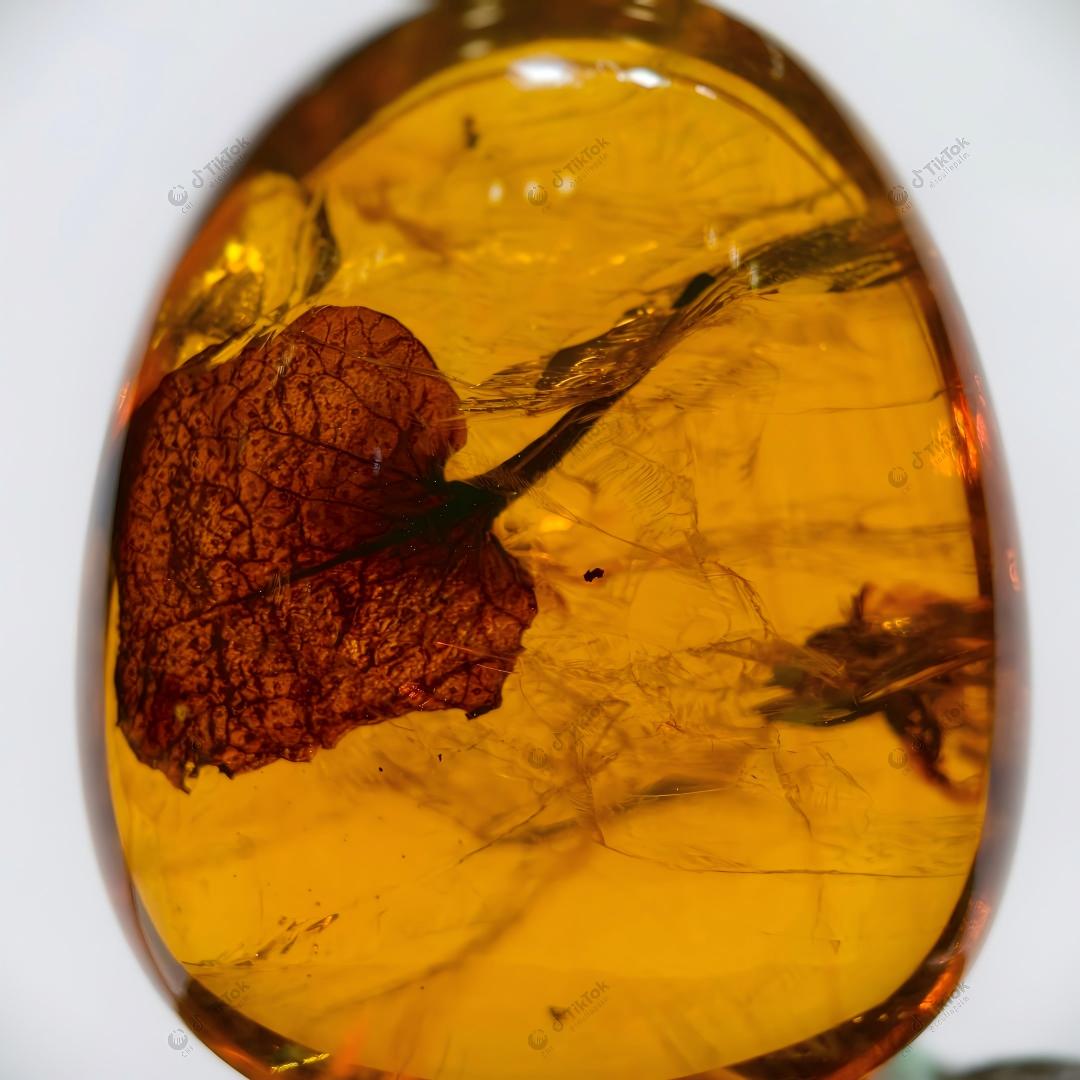 Dominican Heart-Shaped Fossil Leaf Amber with Multi-Insect Inclusions | Botanical & Insect Coexistence Specimen | High-Transparency Golden Amber Teardrop Freeform (26.7×21.5×14.8mm / 4.784g / Collection No. 03-0089)