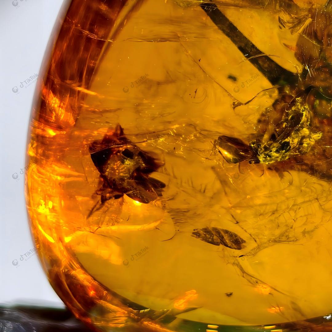 Dominican Heart-Shaped Fossil Leaf Amber with Multi-Insect Inclusions | Botanical & Insect Coexistence Specimen | High-Transparency Golden Amber Teardrop Freeform (26.7×21.5×14.8mm / 4.784g / Collection No. 03-0089)