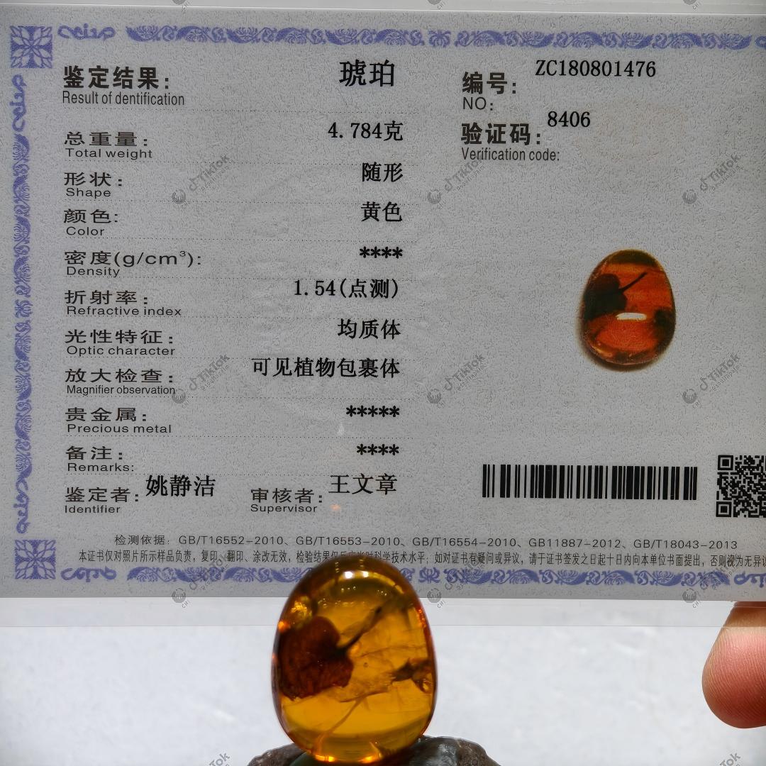 Dominican Heart-Shaped Fossil Leaf Amber with Multi-Insect Inclusions | Botanical & Insect Coexistence Specimen | High-Transparency Golden Amber Teardrop Freeform (26.7×21.5×14.8mm / 4.784g / Collection No. 03-0089)