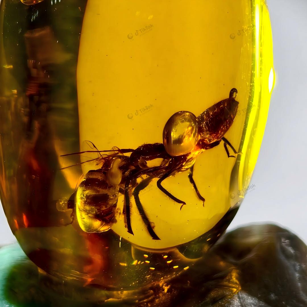 Dominican Dual-Inclusion Amber | True Bug & Ancient Bee Fossil Specimen | Botanical Micro-Detritus | Natural Oval Freeform Amber (23.2×17.5×12.3mm / 2.868g / Collection No. 03-0090)