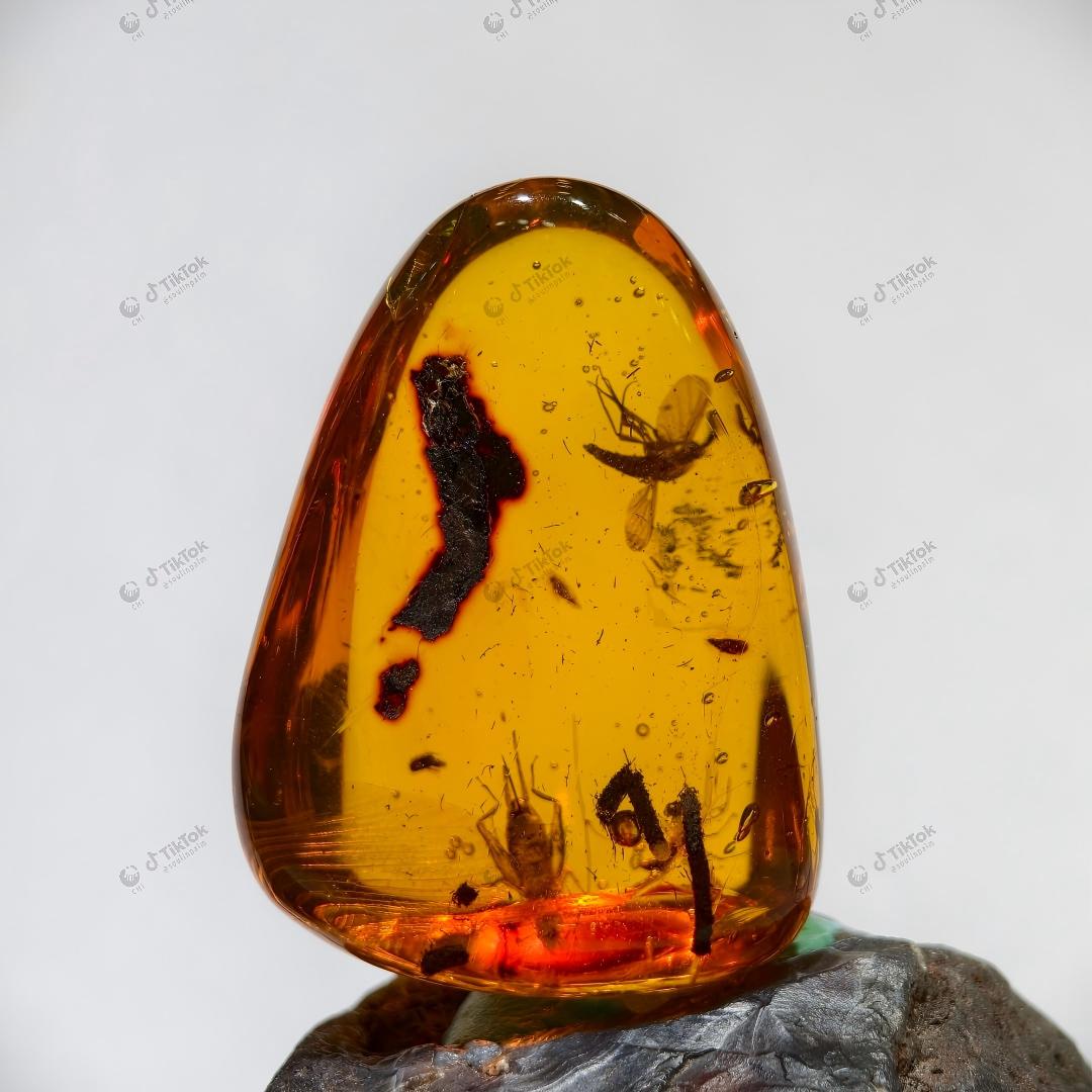 Dominican Multi-Inclusion Amber | Bee, Cricket & Lacewing Cross-Order Fossil Specimen | Botanical Debris & Fluid Inclusions | Natural Freeform Amber (38.8×28.5×17.8mm / 11.507g / Collection No. 03-0096)