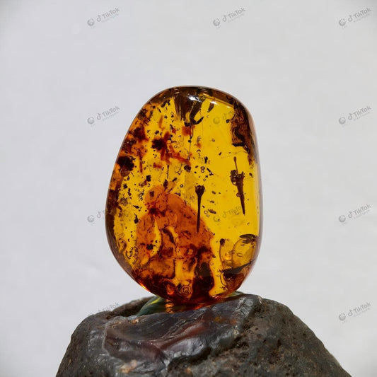 Dominican Ancient Floral Landscape Amber | Fossil Flower Calyx, Insect Cluster, Bark & Fluid Inclusion Specimen | Golden Freeform Teardrop Amber (37.1×27.1×16.1mm / 9.157g / Collection No. 03-0132)