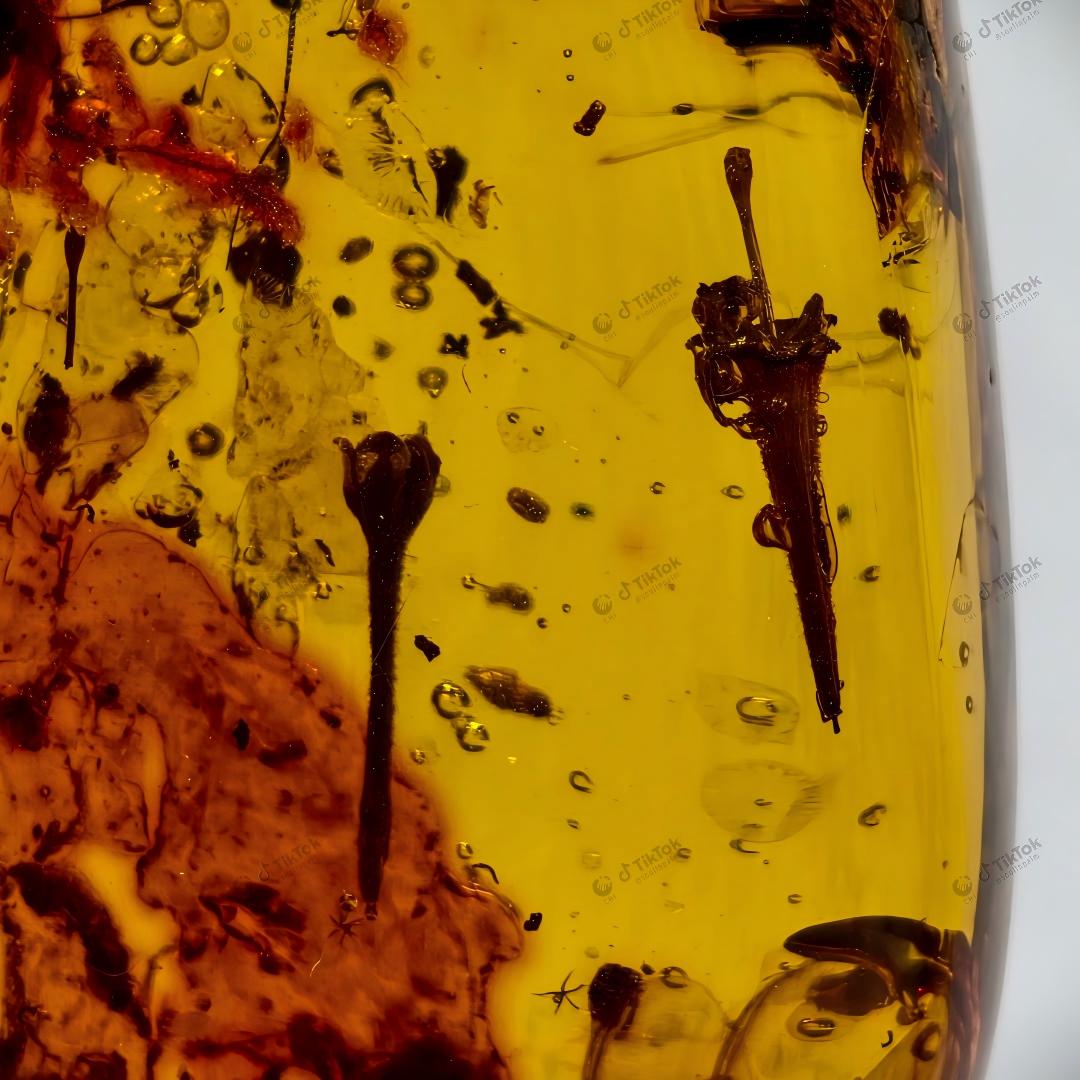 Dominican Ancient Floral Landscape Amber | Fossil Flower Calyx, Insect Cluster, Bark & Fluid Inclusion Specimen | Golden Freeform Teardrop Amber (37.1×27.1×16.1mm / 9.157g / Collection No. 03-0132)