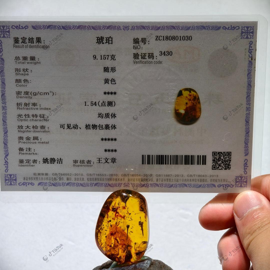 Dominican Ancient Floral Landscape Amber | Fossil Flower Calyx, Insect Cluster, Bark & Fluid Inclusion Specimen | Golden Freeform Teardrop Amber (37.1×27.1×16.1mm / 9.157g / Collection No. 03-0132)