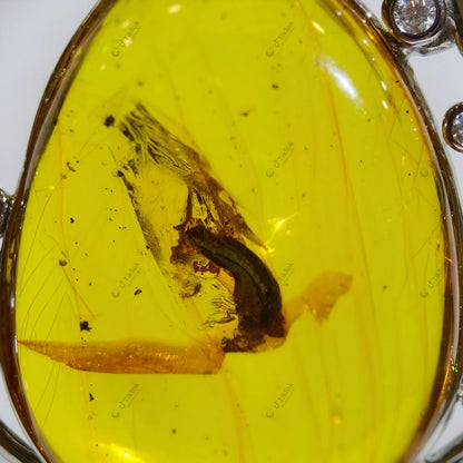 Dominican Landscape Amber Sterling Silver Pendant | Natural Freeform Blue Amber | Completed Vintage Silver Setting (41.3×43.6×10.5mm / 16.12g / Collection No. 07-0014)