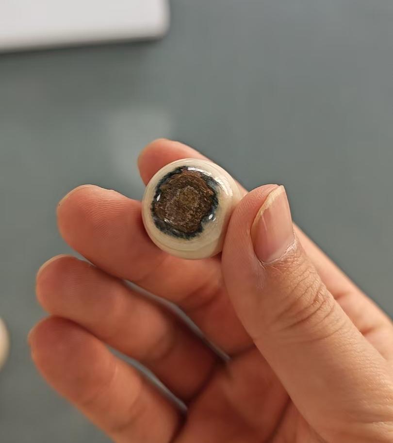 2026 Shop With Us (03.12)