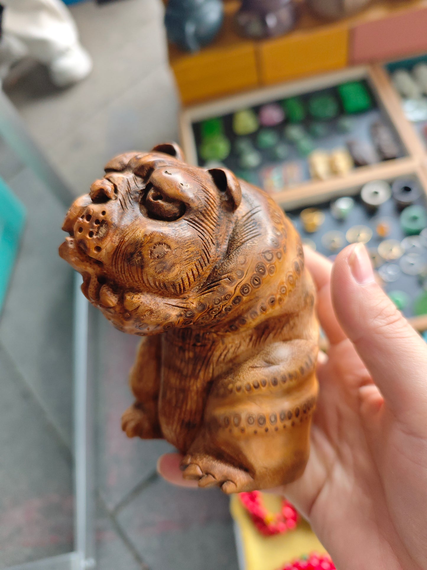 2026 Shop With Us (01.17)