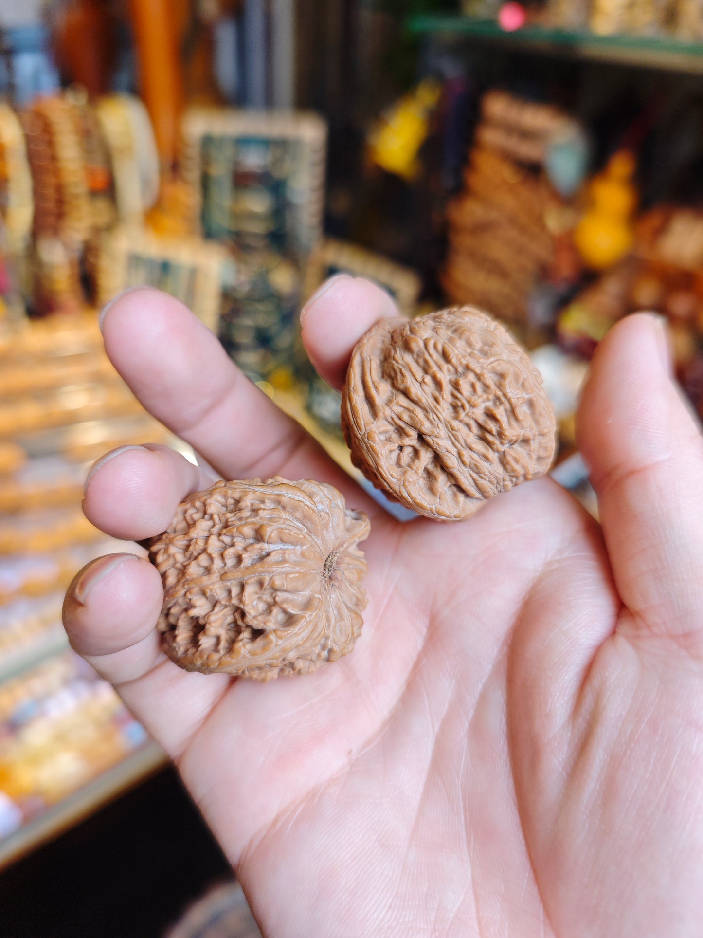 2026 Shop With Us (02.09)