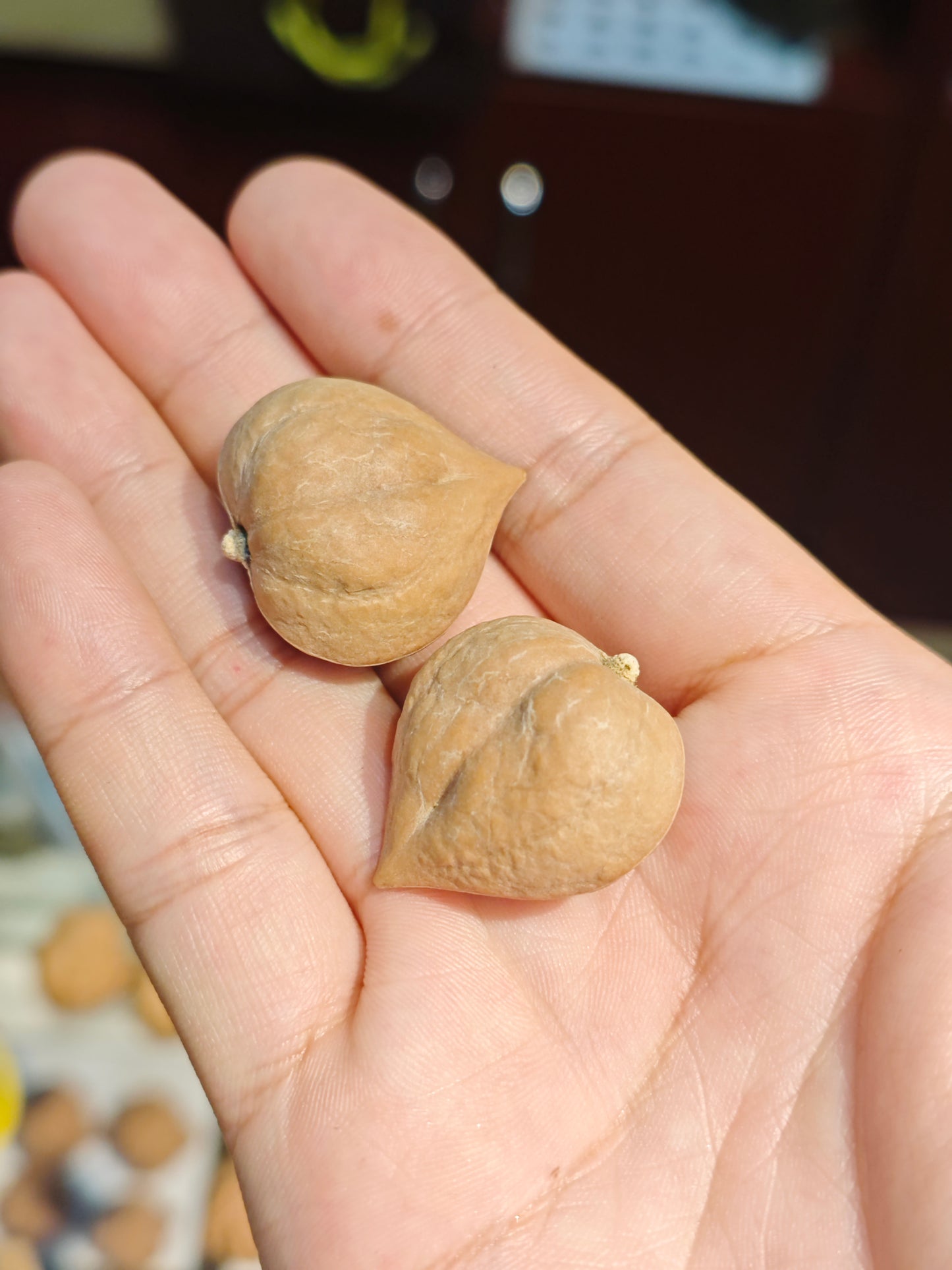2026 Handicrafts Live Sale: Carved Works, Glass Ornaments, Bracelets & Accessories (08.29)