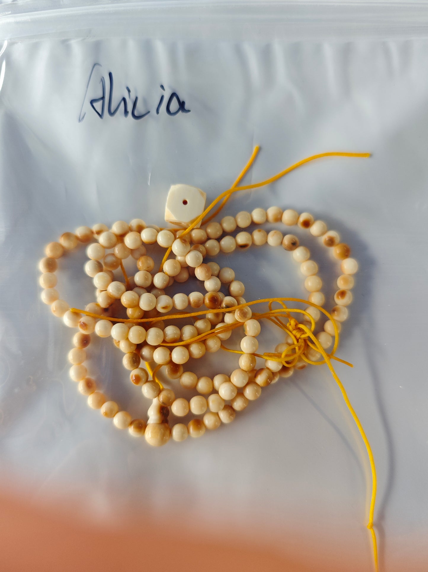 2026 Shop With Us (02.09)