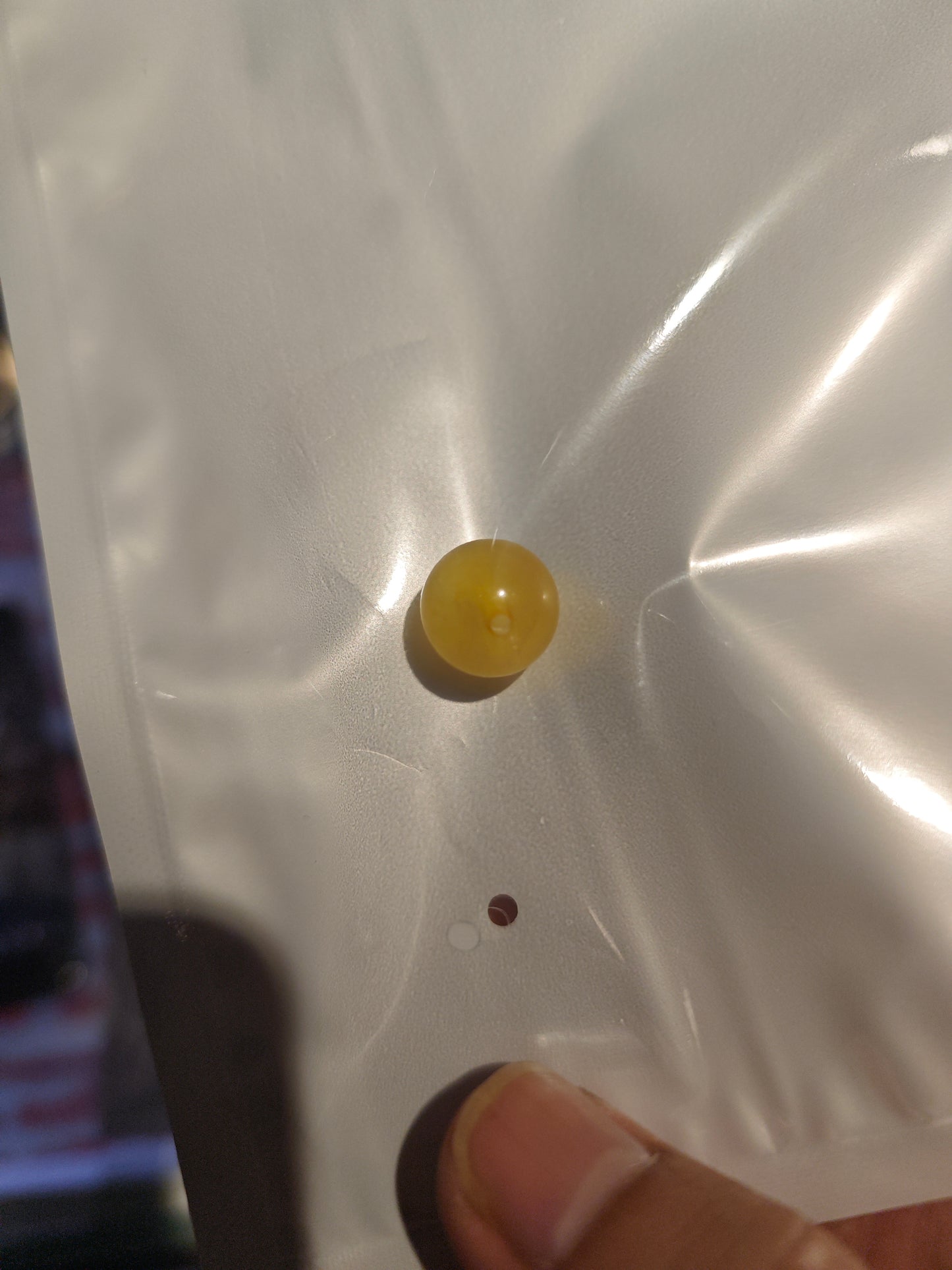 2026 Shop With Us (03.12)