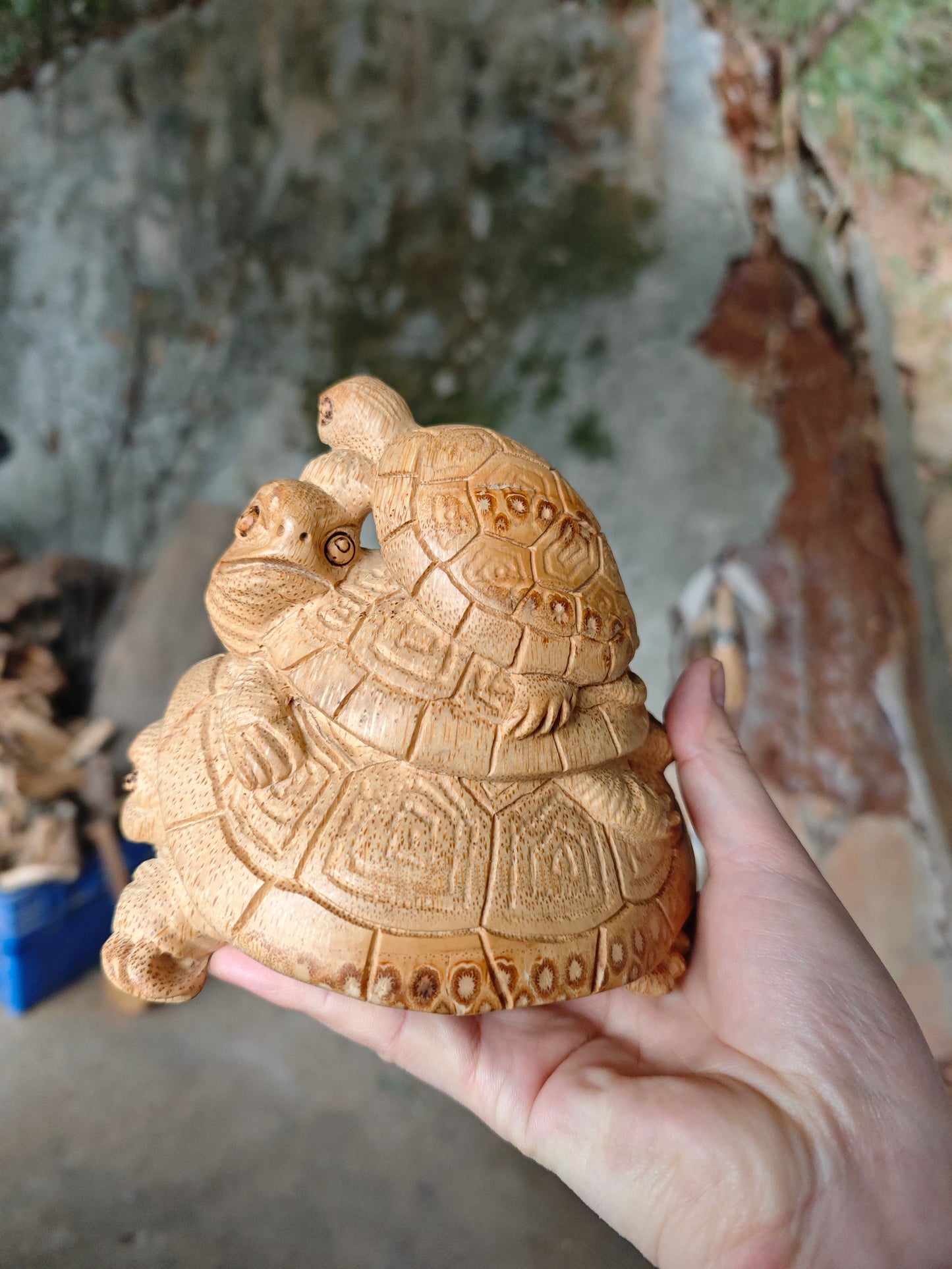 2026 Shop With Us (01.26)