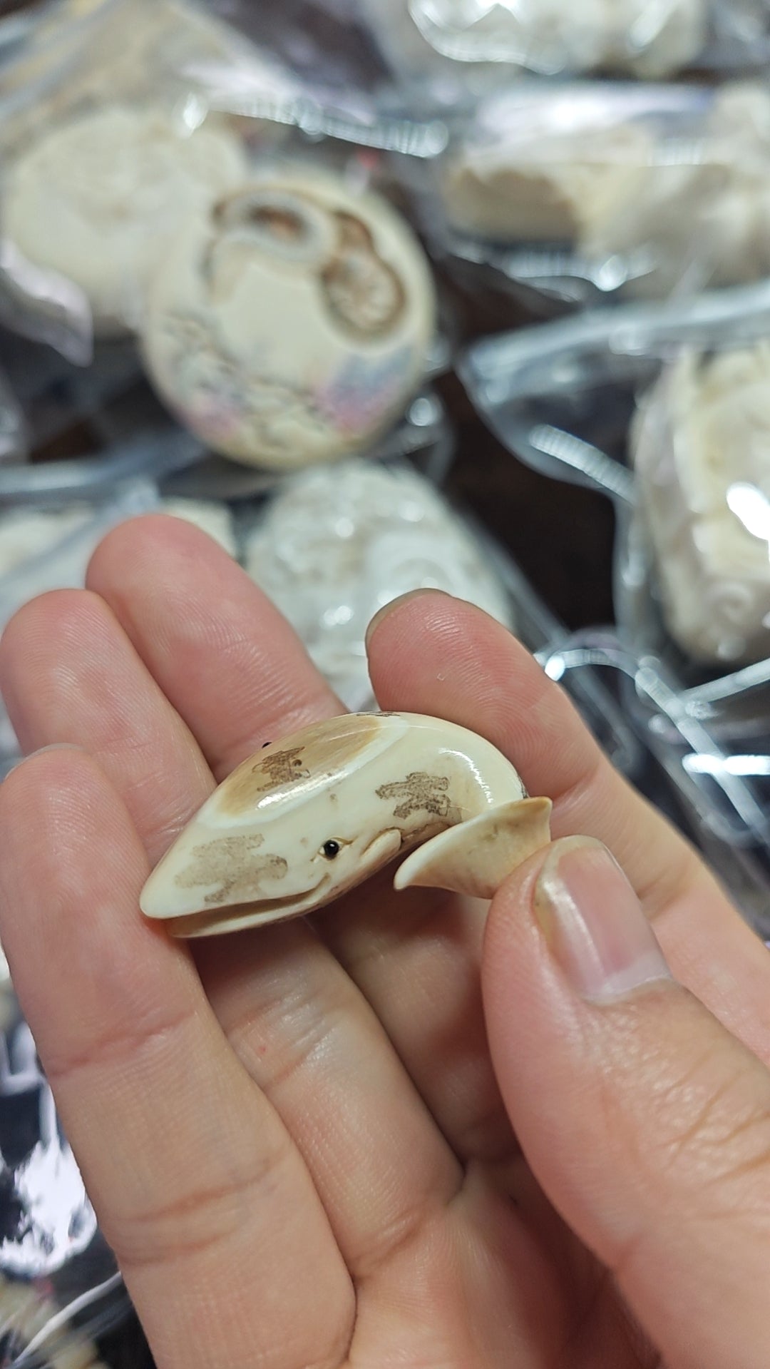 2026 Shop With Us (01.26)