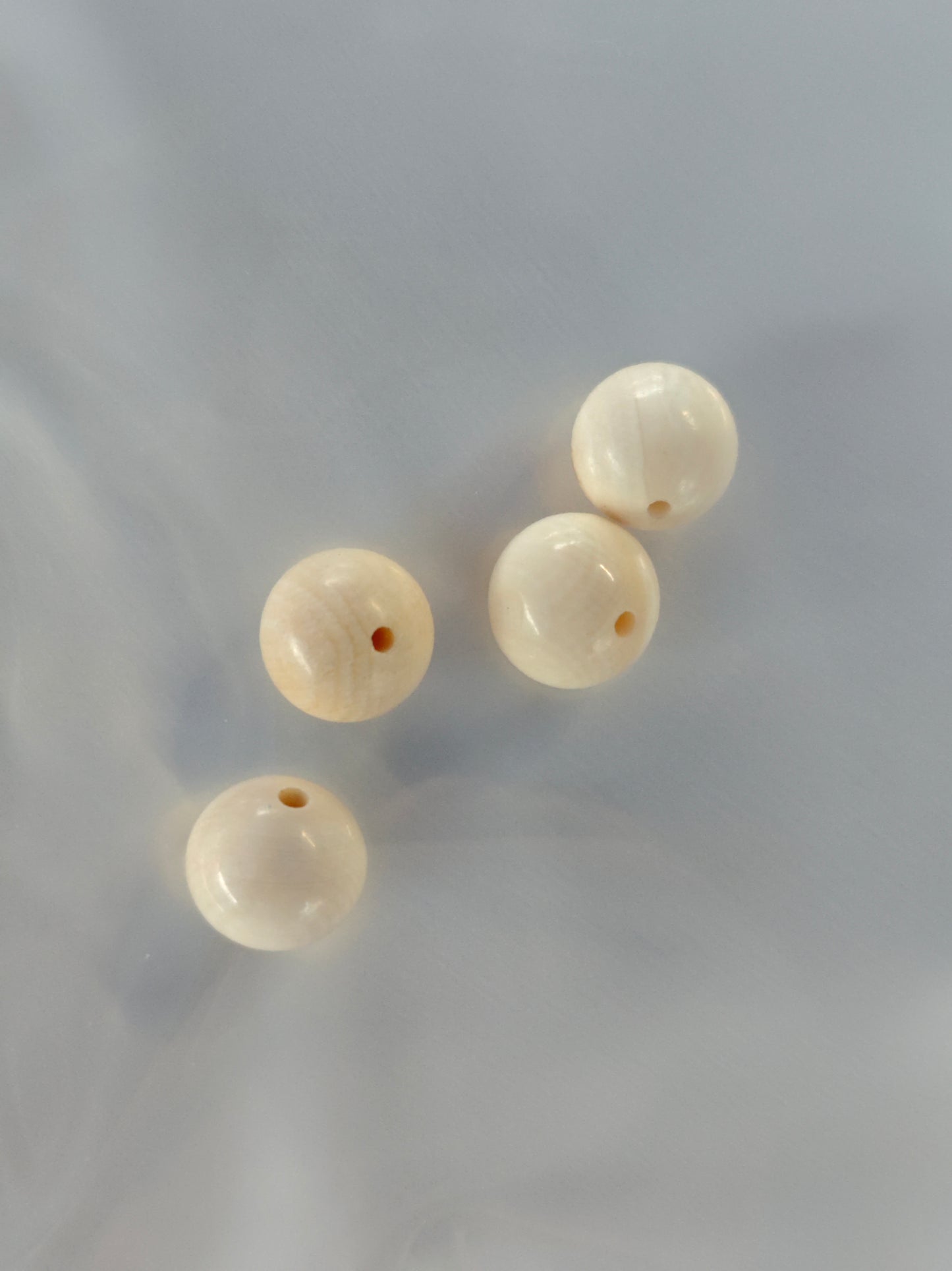 2026 Shop With Us (02.27)