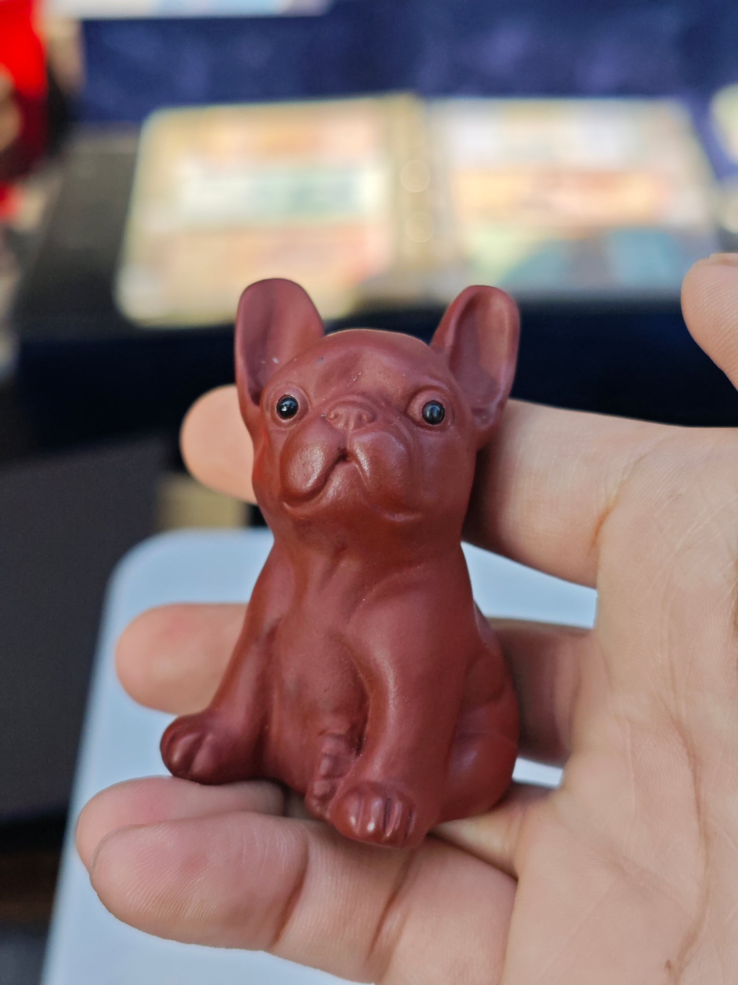 2026 Shop With Us (01.17)