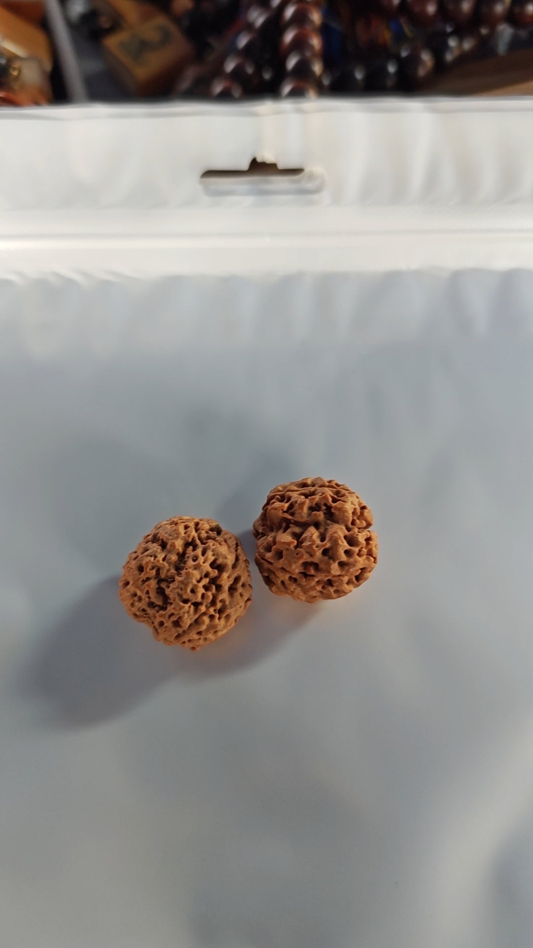 2026 Shop With Us (01.26)