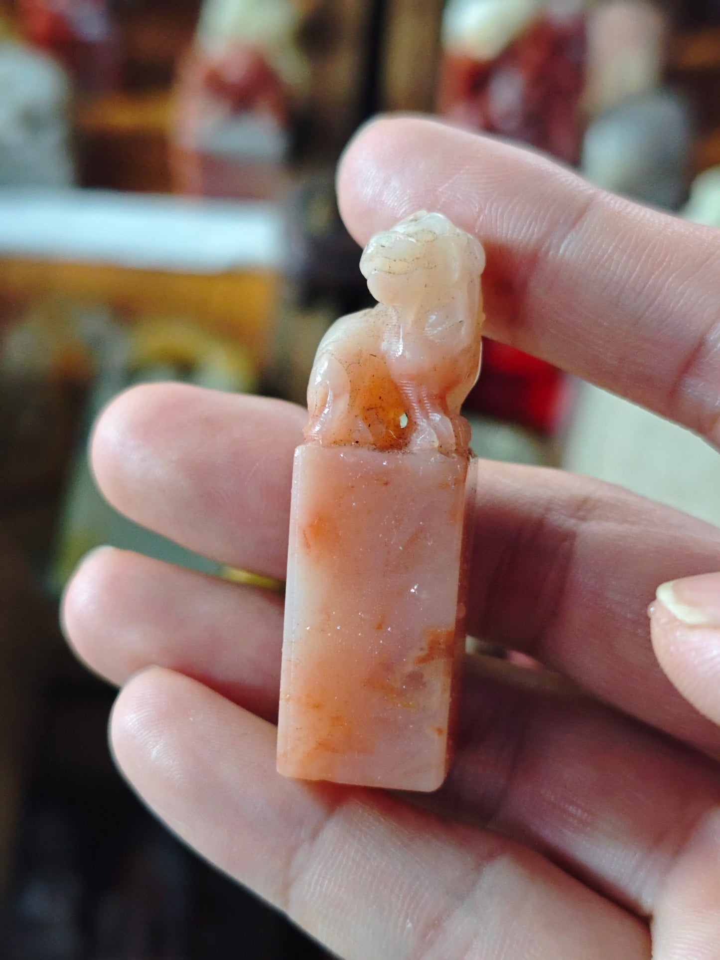 2026 Shop With Us (03.19)