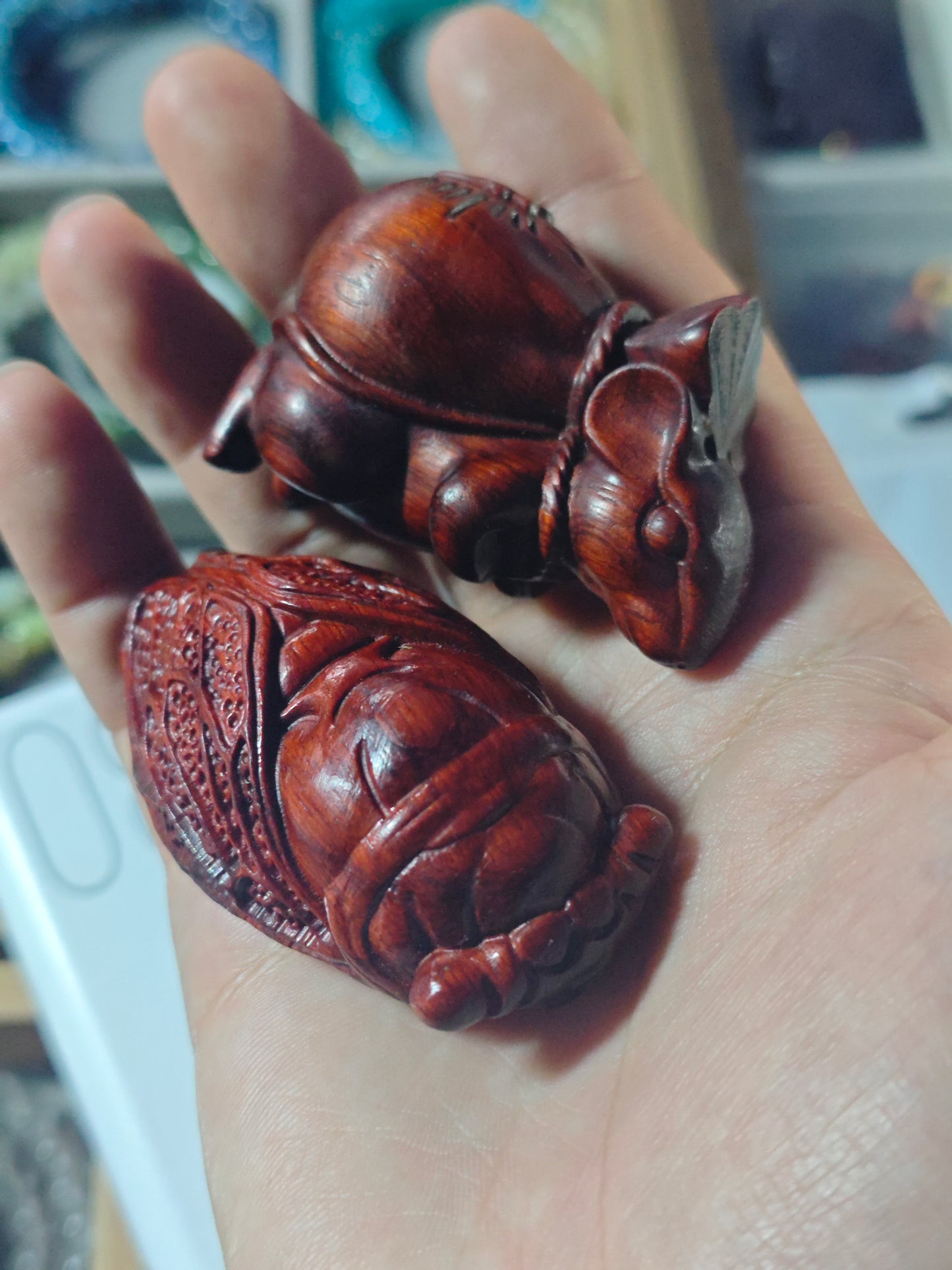 2026 Shop With Us (03.19)