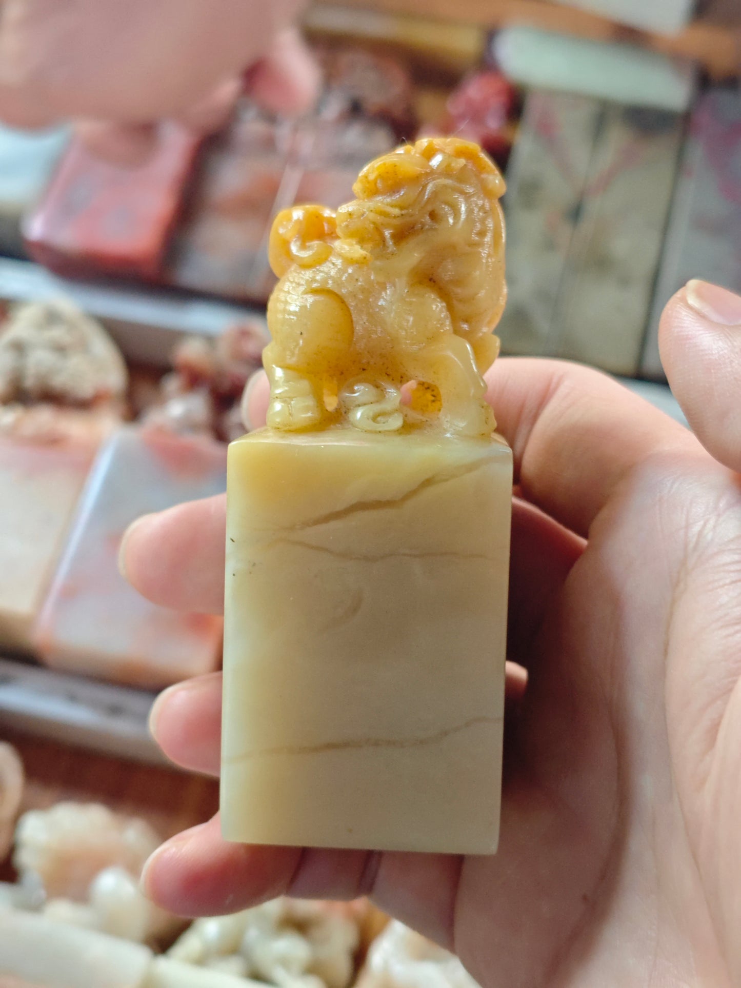 2026 Shop With Us (03.19)