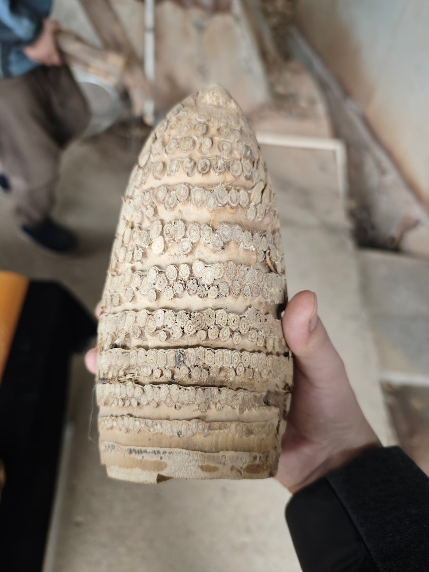 2026 Shop With Us (01.26)