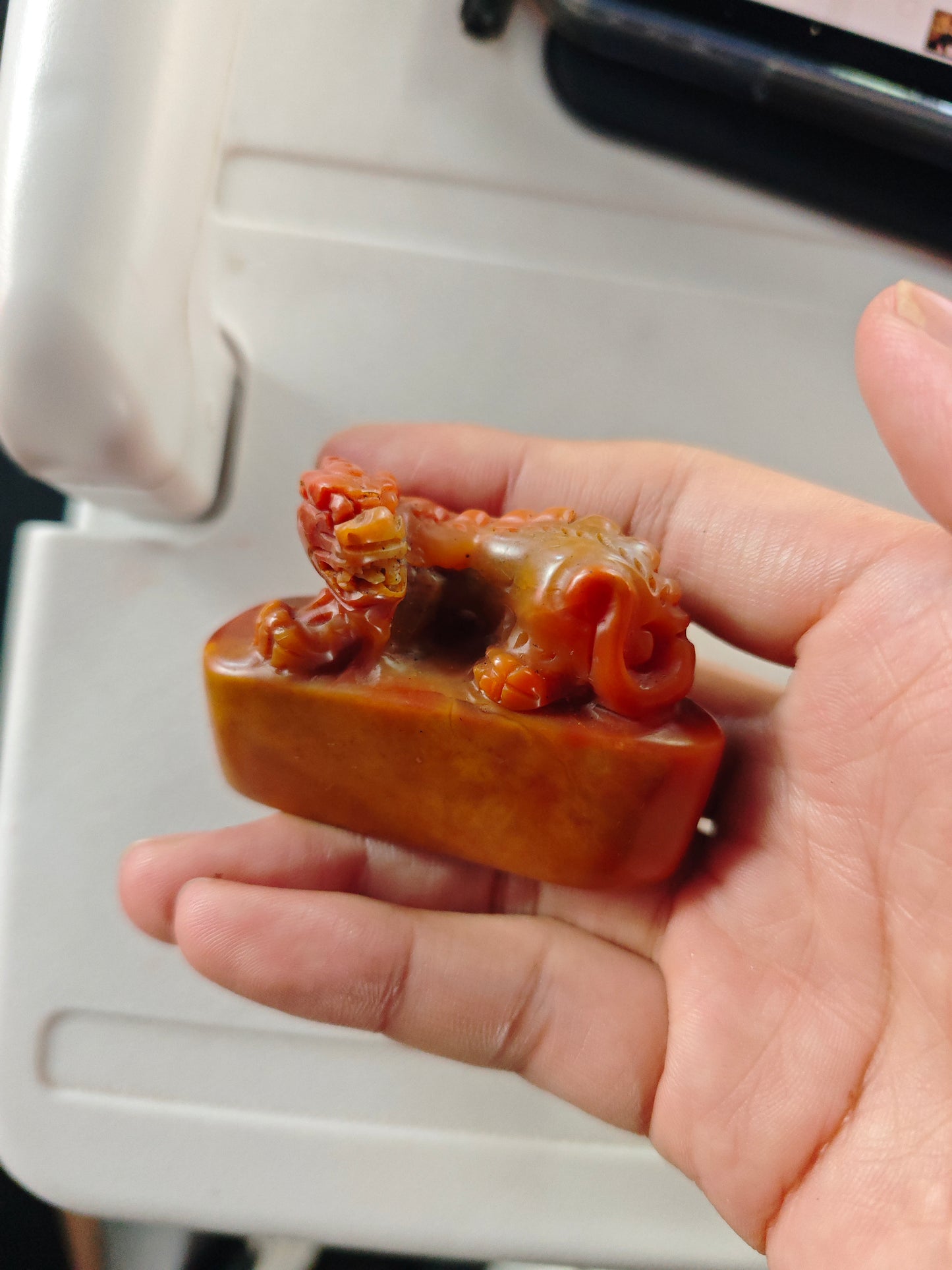 2025 Shop With Us (11.29)