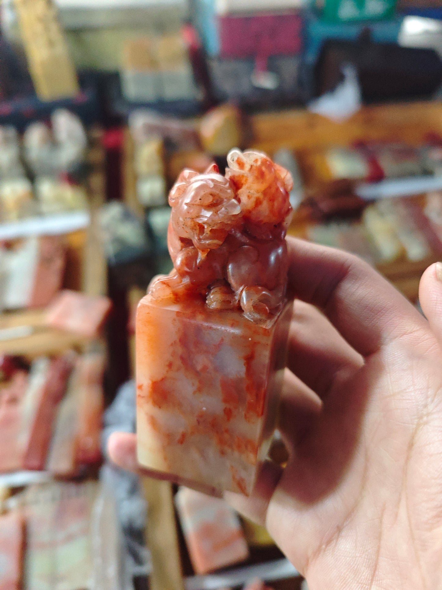 2025 Shop With Us (11.29)