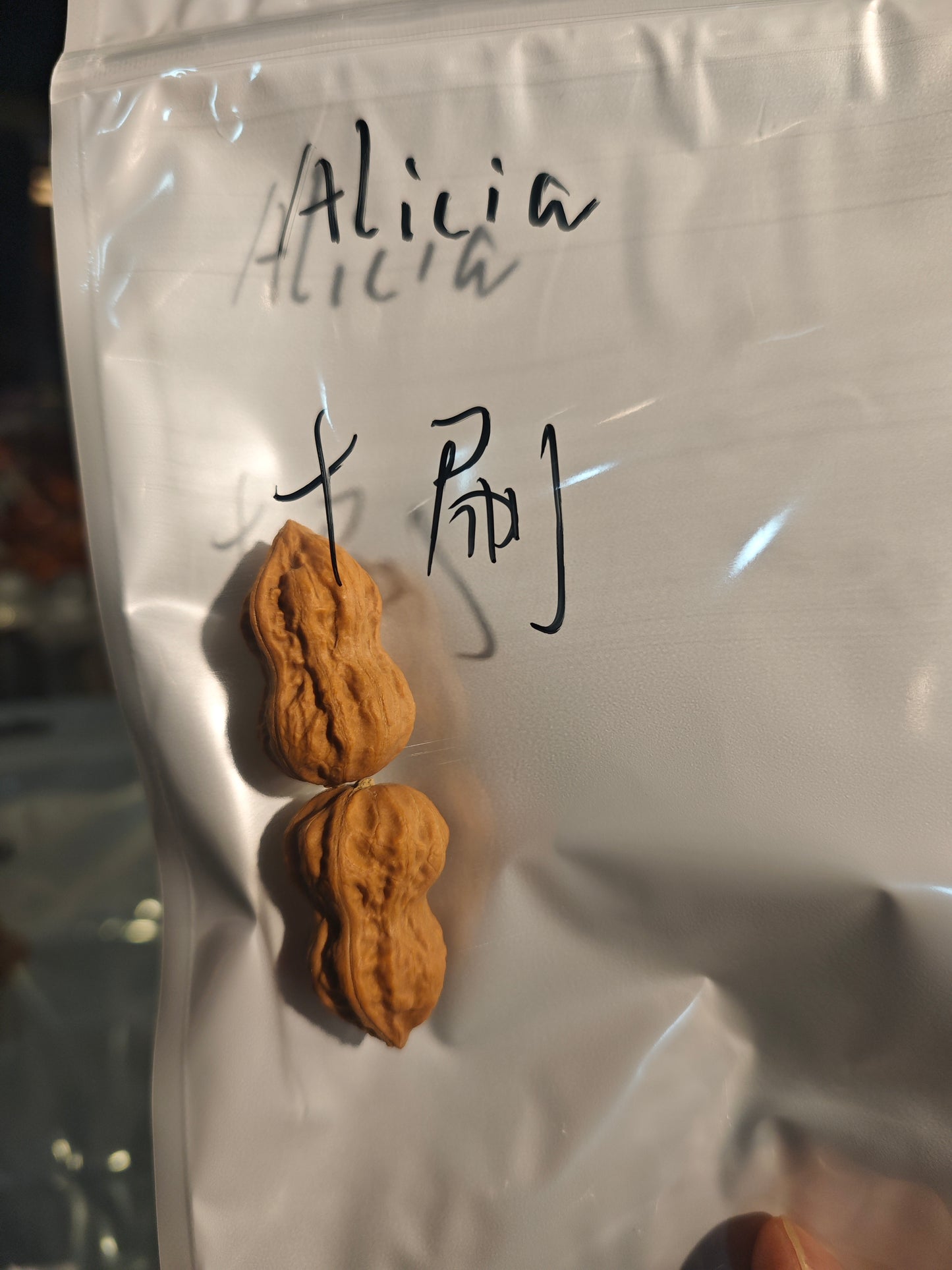 2026 Shop With Us (03.29)