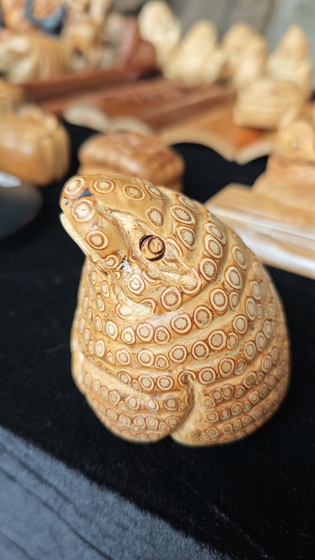 2026 Shop With Us (01.26)