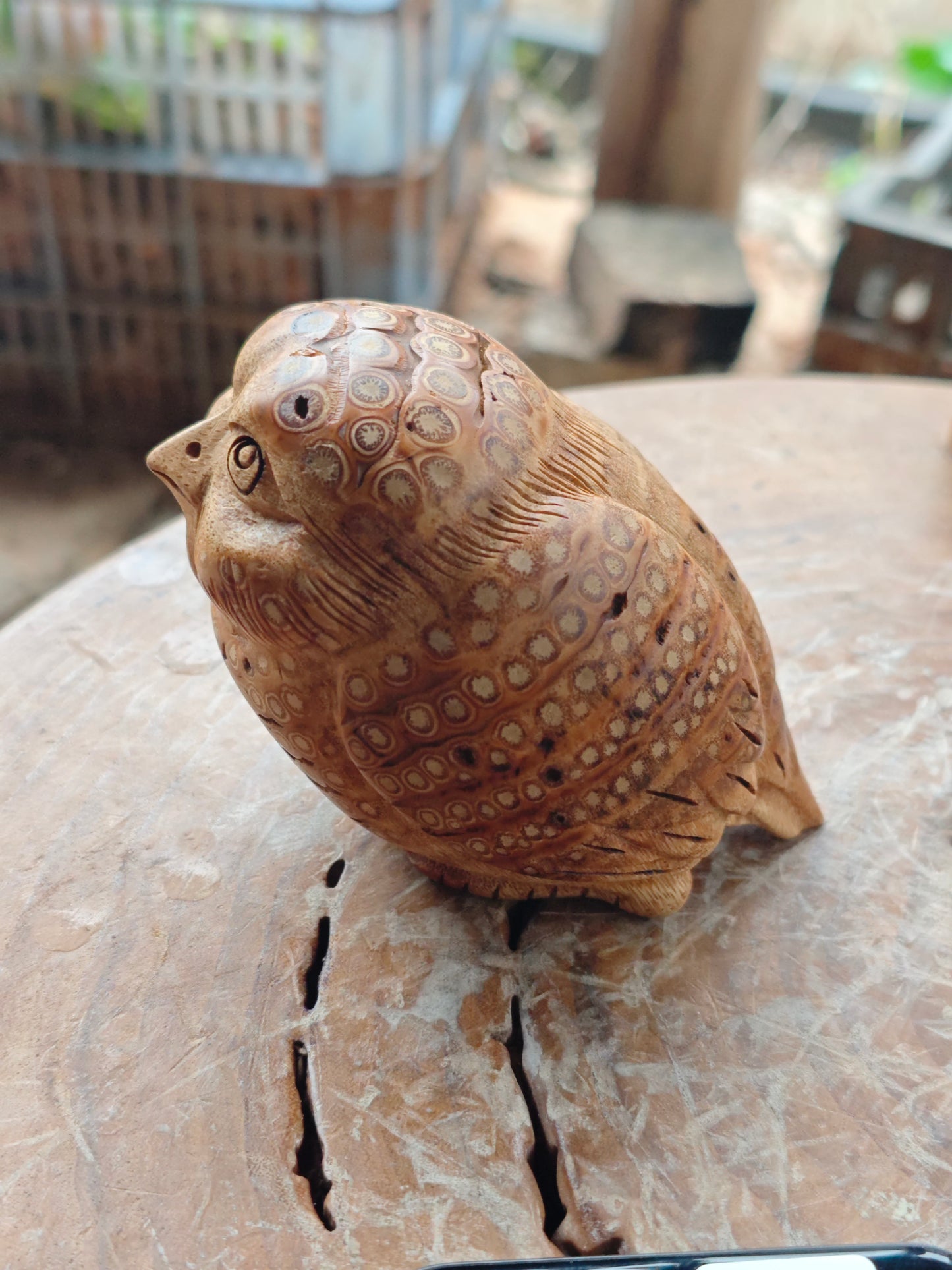 2026 Shop With Us (03.19)