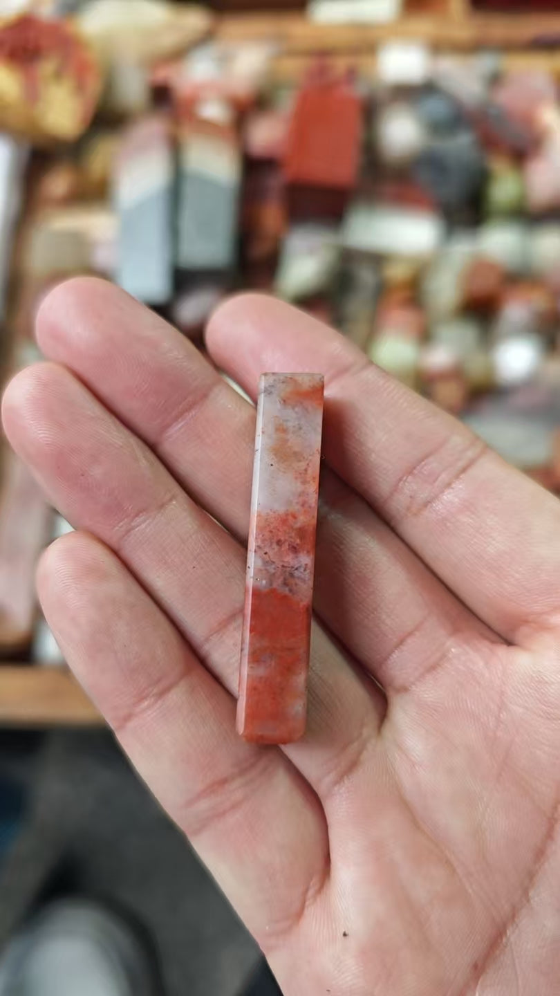 2026 Shop With Us (01.17)