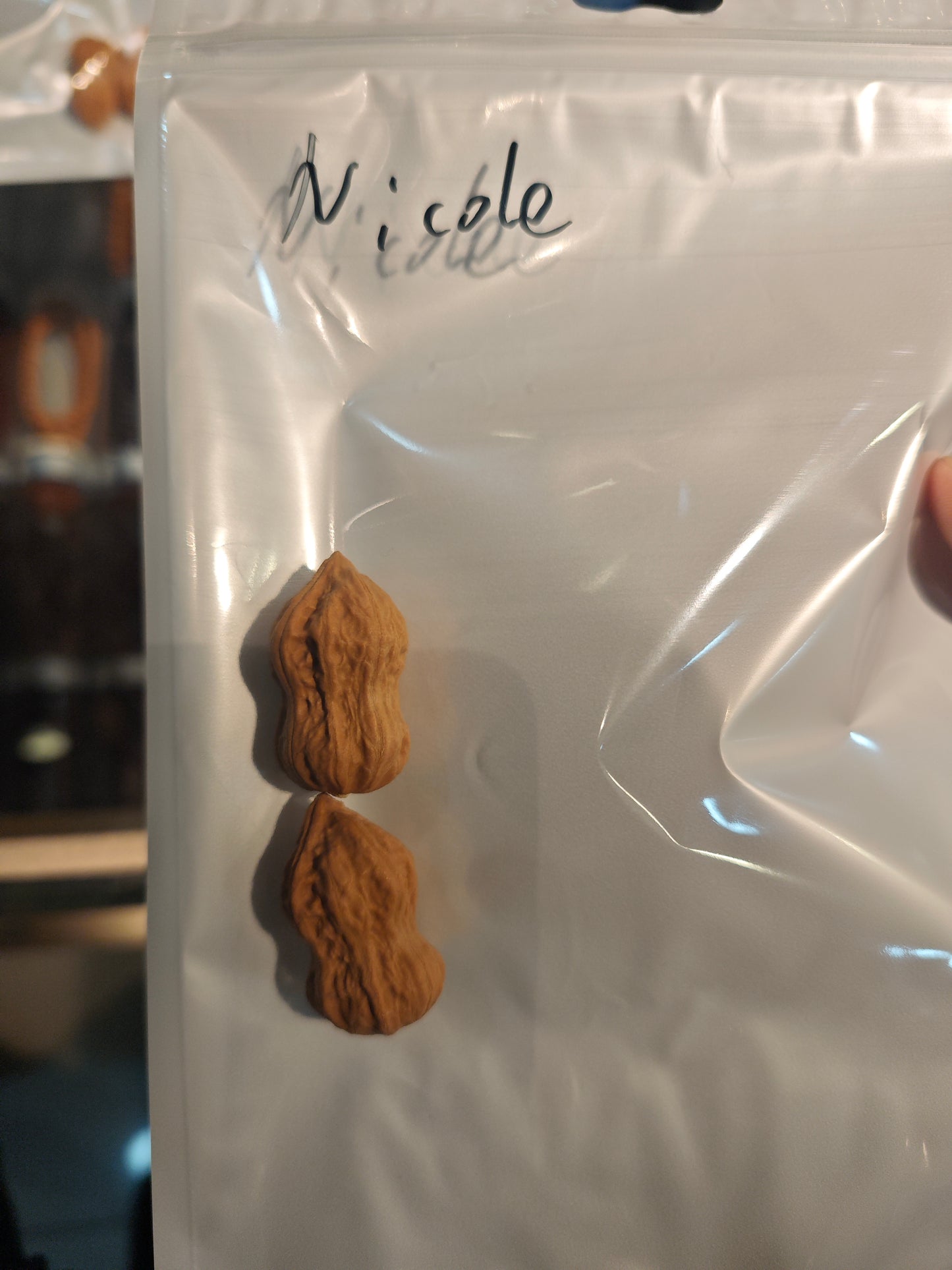 2026 Shop With Us (03.29)