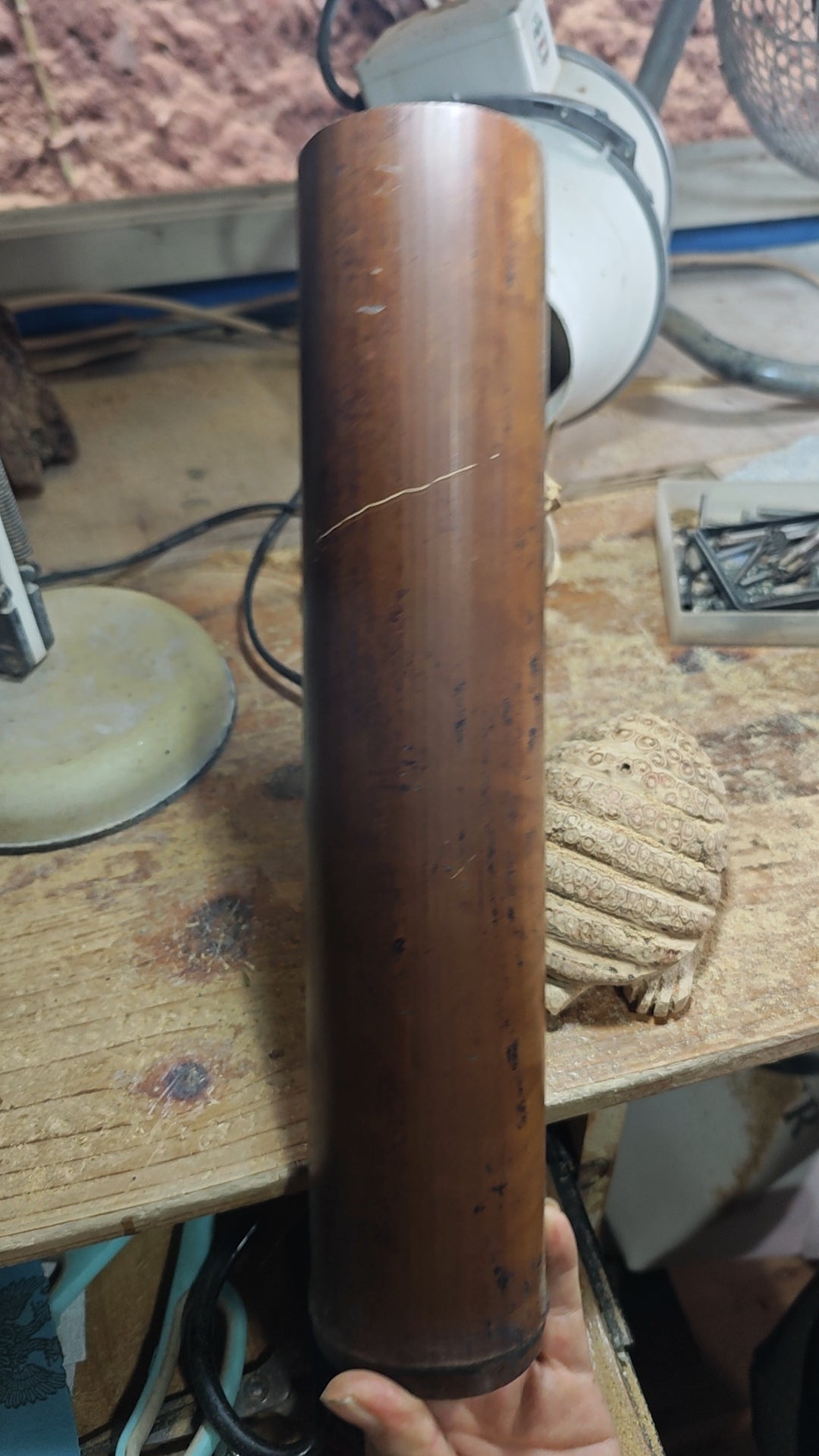 2026 Shop With Us (01.26)