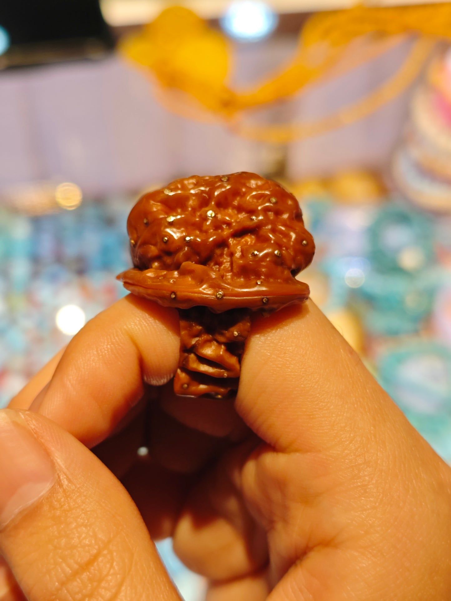 2026 Shop With Us (03.19)