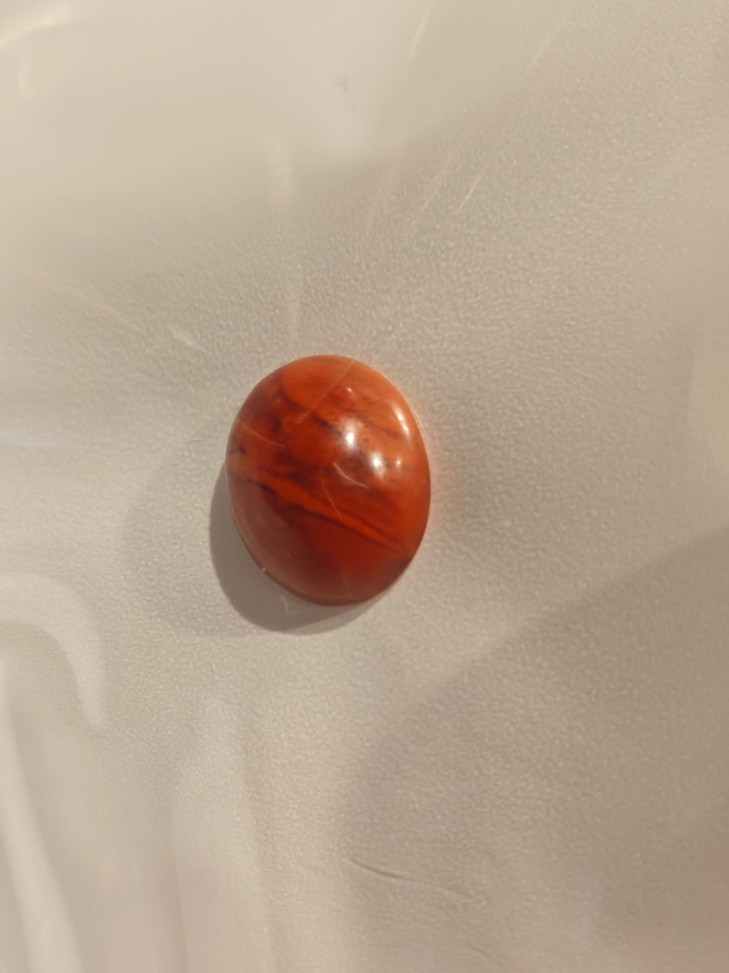 2026 Shop With Us (04.11)